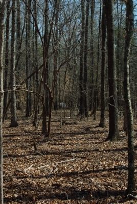 16th Alabama, 55th Tennessee Marker image. Click for full size.