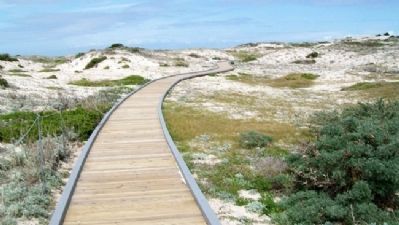 Boardwalk Across the Asilomar Dunes image. Click for full size.