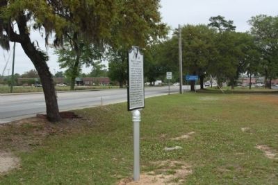 Berkeley Training High School Marker, seen looking north along North Live Oak Drive (US 17) image. Click for full size.