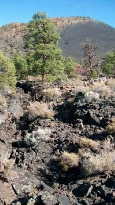 Pumice and Lava Along the Lava Flow Trail image. Click for full size.