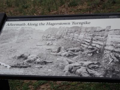 Aftermath Along the Hagerstown Turnpike Marker image. Click for full size.