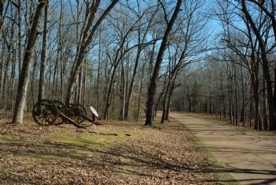 McClung's Tennessee Battery Marker image. Click for full size.