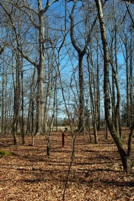 Forrest's Tennessee Cavalry Marker image. Click for full size.