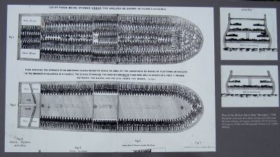 Plan of the British Slave Ship “Brookes,” 1789 image. Click for full size.