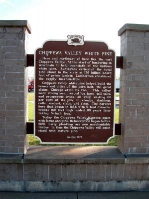 Chippewa Valley White Pine Marker image. Click for full size.