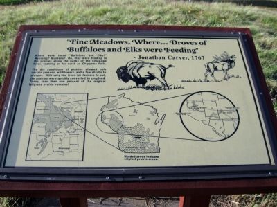 "Fine Meadows Where� Droves of Buffaloes and Elks were Feeding" Marker image. Click for full size.