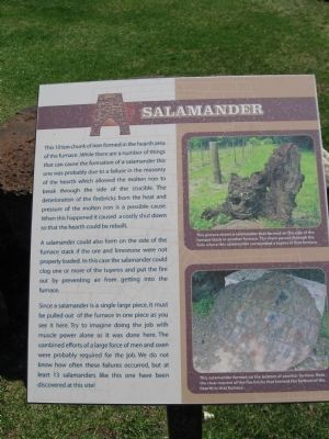 Salamander Marker image. Click for full size.