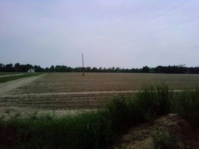Oak Grove image. Click for full size.