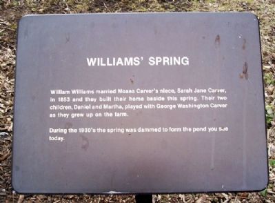 Williams' Spring Marker image. Click for full size.