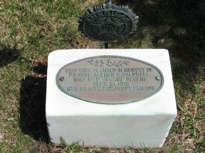Marker behind the Monument image. Click for full size.