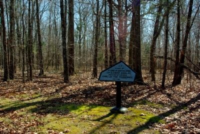 Camp of 1st and 2nd Battalions, 11th Illinois Cavalry Marker image. Click for full size.