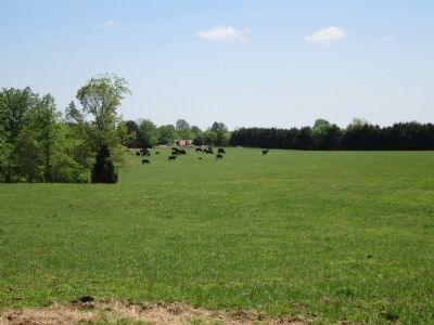 Payne's Farm Battlefield. Click for full size. Payne's Farm Battlefield image. Click for full size.
