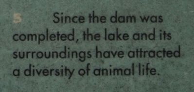 Purpose of the Dam Marker. Click for full size. Purpose of the Dam Marker image. Click for full size.