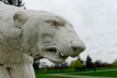 Polar Bear Statue (Detail of Bear's Head) image. Click for full size.