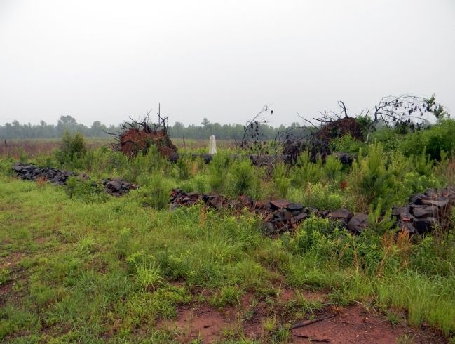 The site of Old Sneedsborough. Click for full size. The site of Old Sneedsborough image. Click for full size.