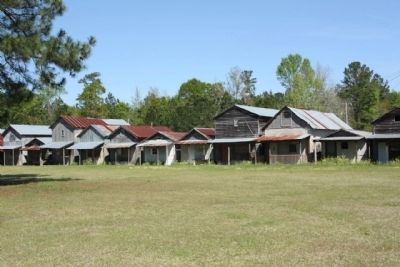 Shady Grove Camp Ground west side cabins image. Click for full size.