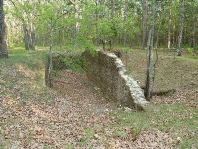 Remnants of Wharton-era barn in the forrest. image. Click for full size.