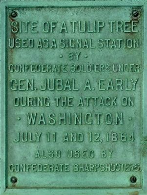 Tulip Tree Marker -- Plaque image. Click for full size.