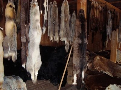 General Warehouse and Fur Store. Click for full size. General Warehouse and Fur Store image. Click for full size.