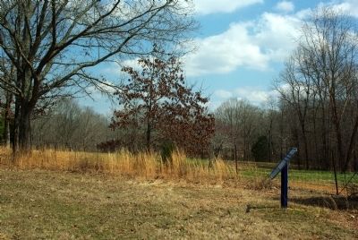 61st Illinois Infantry Marker image. Click for full size.