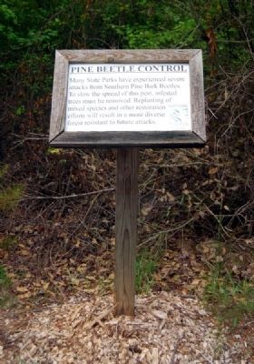 Pine Beetle Control Marker -<br>Located on Piedmont Road image. Click for full size.