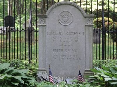Grave of Theodore Roosevelt image. Click for full size.