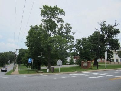 Peaks St & N Bridge St / Longwood Ave. Click for full size. Peaks St & N Bridge St / Longwood Ave image. Click for full size.