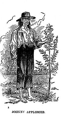 Johnny Appleseed Sketch image. Click for full size.