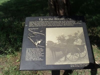 Up to the Roosevelts Marker. Click for full size. Up to the Roosevelts Marker image. Click for full size.