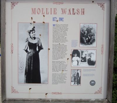 Mollie Walsh Marker image. Click for full size.