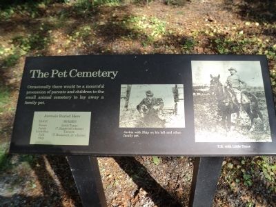 The Pet Cemetery Marker image. Click for full size.