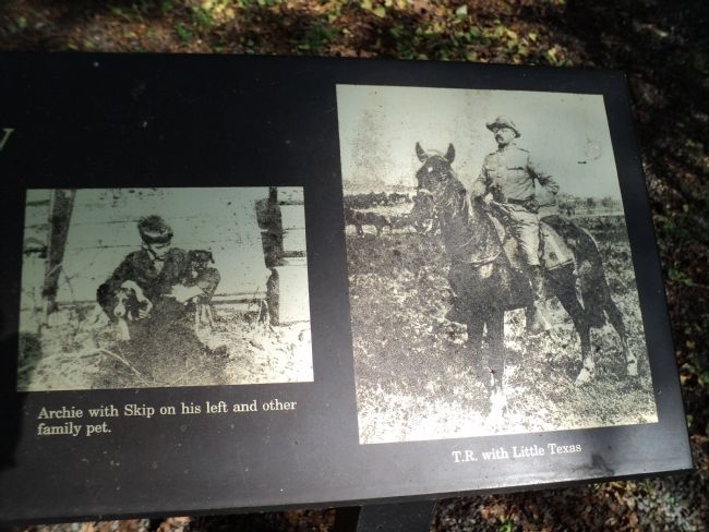 Closeup of Photos from Marker. Click for full size. Closeup of Photos from Marker image. Click for full size.