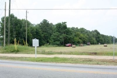Cane Savannah Plantation Marker seen with working hay field in background image. Click for full size.