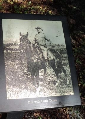 Theodore Roosevelt Riding Little Texas image. Click for full size.