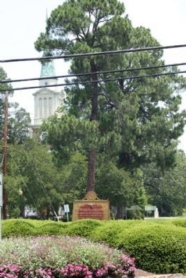 Aiken 's "Blue Star Memorial Highway " marker at Richland and York (US 1) image. Click for full size.