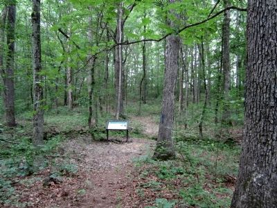 The Battle of Payne’s Farm Walking Trail. Click for full size. The Battle of Payne’s Farm Walking Trail image. Click for full size.