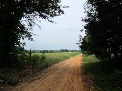 Paynes Farm Lane image. Click for full size.