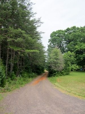 Paynes Farm Lane from Zoar Church Road image. Click for full size.