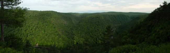 The Grand Canyon of Pennsylvania image. Click for full size.