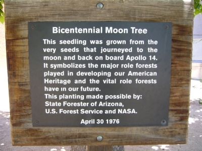 Bicentennial Moon Tree Marker image. Click for full size.