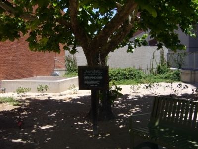 Bicentennial Moon Tree Marker image. Click for full size.