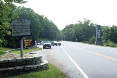 Asa Gray Marker, looking south along US 221 image. Click for full size.