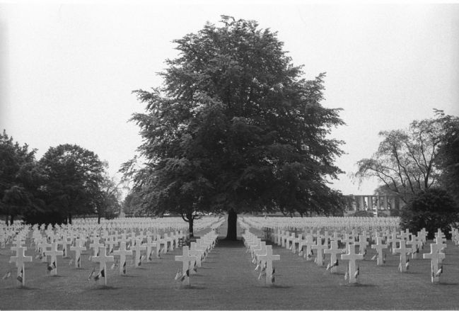 Section of the Henri-Chapelle American Cemetery near Henri-Chapelle, Belgium image. Click for full size.