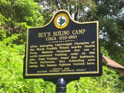 Bey's Boxing Camp Marker image. Click for full size.