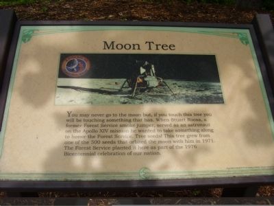 Moon Tree Marker image. Click for full size.