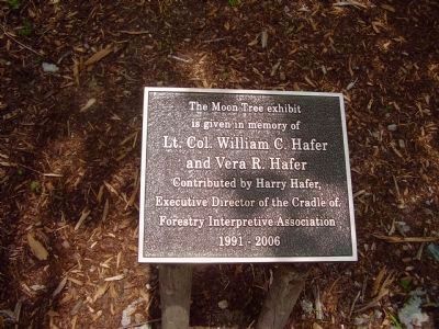 Moon Tree plaque. Click for full size. Moon Tree plaque image. Click for full size.