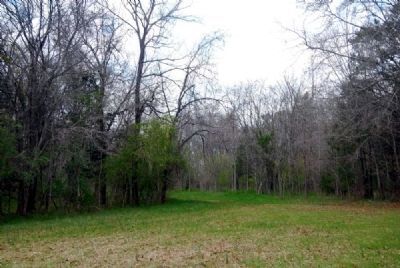 Drive Leading from the Cemetery to S.C. Highway 823 image. Click for full size.