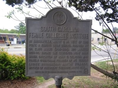 South Carolina Female Collegiate Institute Marker image. Click for full size.
