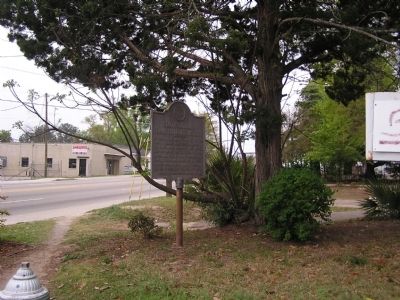 South Carolina Female Collegiate Institute Marker image. Click for full size.