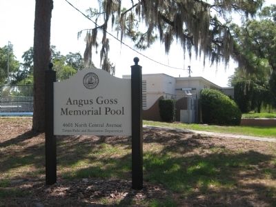 Angus Goss Memorial Pool image. Click for full size.